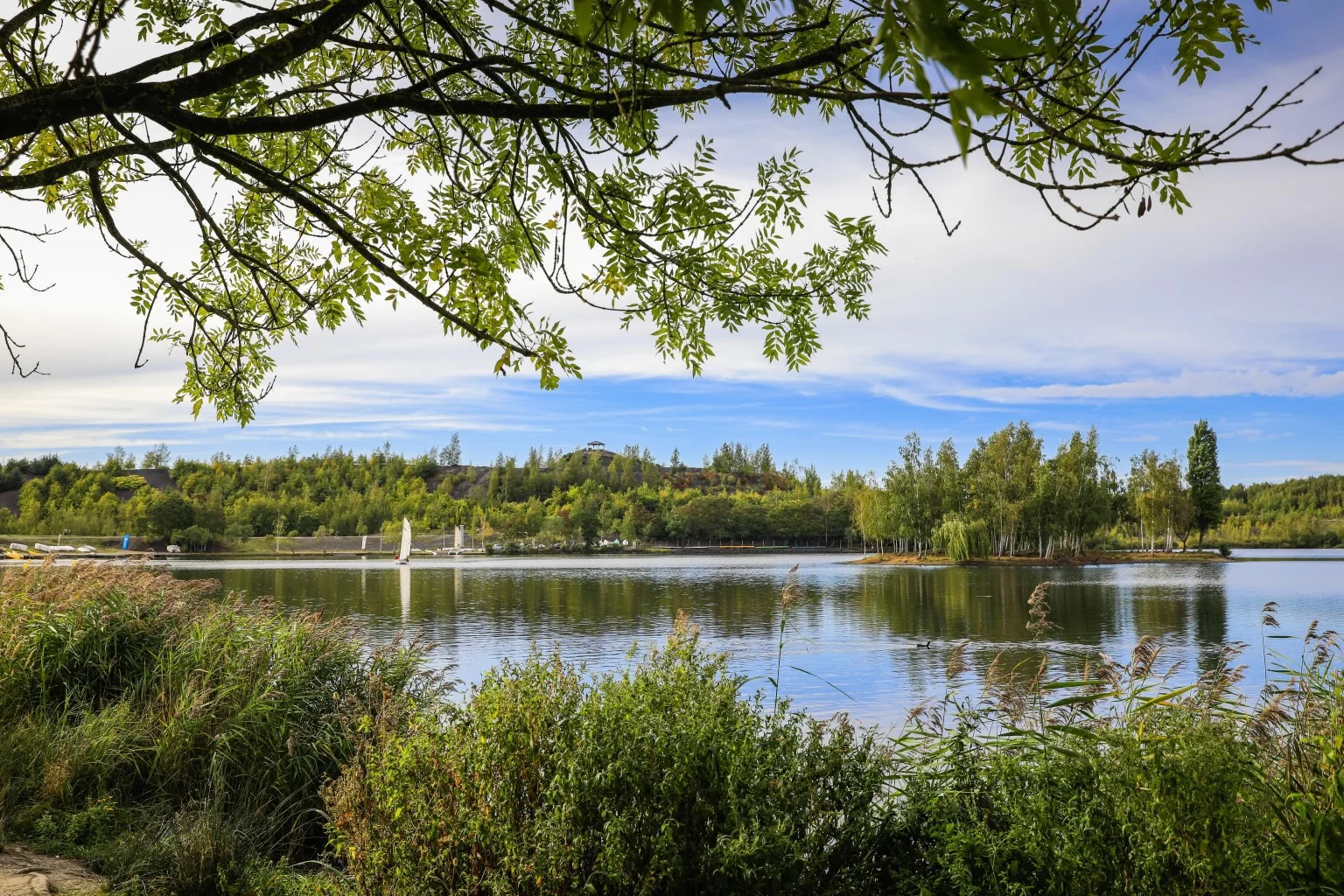 Nature autour du domaine, Parc naturel Scarpe-Escaut